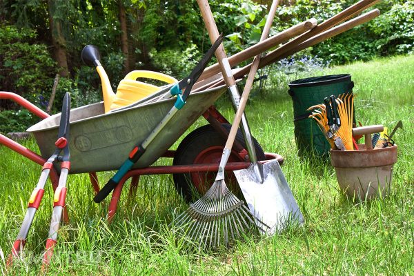 Какие инструменты необходимы начинающему садоводу?