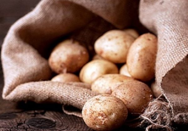 Правильное хранение картофеля: устройство погреба для хранения урожая