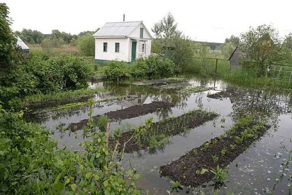 Самые популярные заблуждения о дачных работах