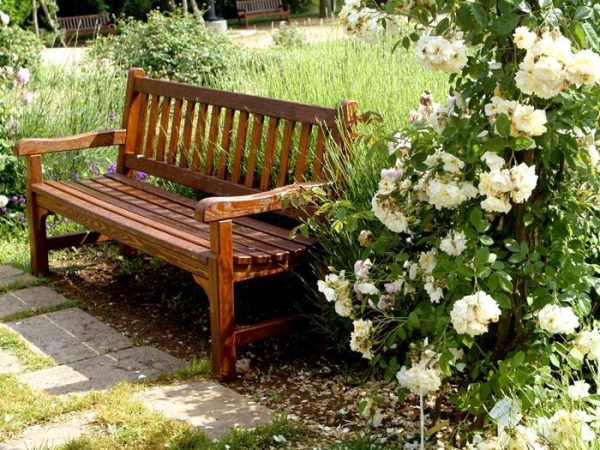 Садовые скамейки: виды и особенности. Как сделать удобную садовую скамейку своими руками