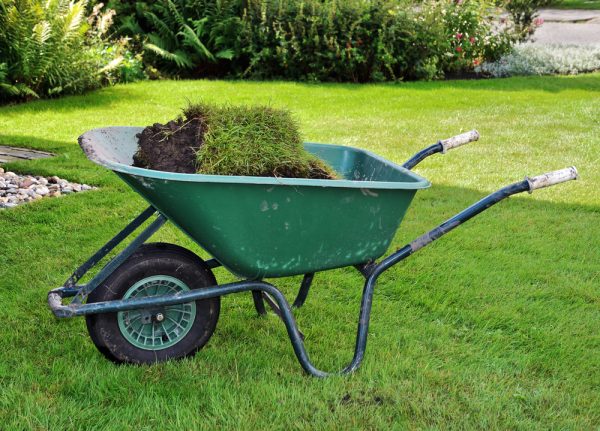 10 полезных принадлежностей для дачи, с помощью которых работать в саду и огороде будет проще