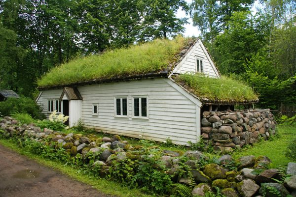 Озеленение крыши: на пути к мечте