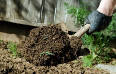 как улучшить почву на даче