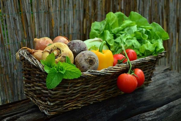 Поздние посевы, или когда нужно сеять семена овощей?