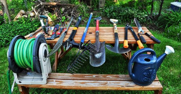 Какие инструменты нужны для садовых работ