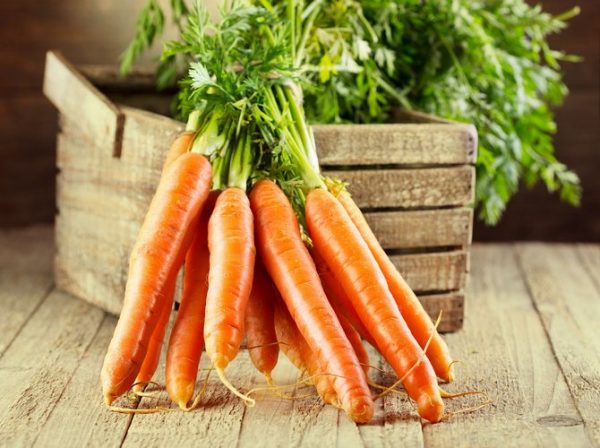 Морковь. Лучшие способы хранения в зимние месяцы