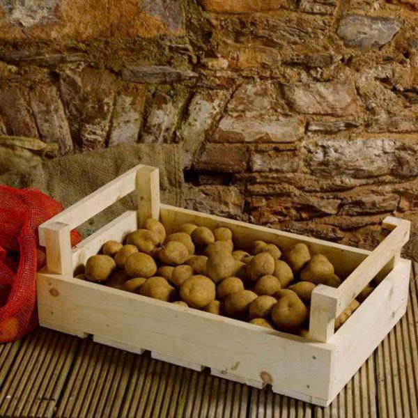 Хранение картофеля в зимний период в подвале и погребе