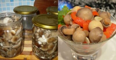 Маринованные грибы на зиму. Рецепт самых вкусных маринованных грибов!