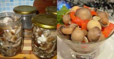 Маринованные грибы на зиму. Рецепт самых вкусных маринованных грибов!