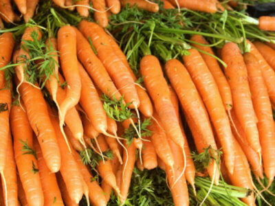 Картинки по запросу Сорта моркови «Монастырская»