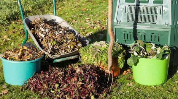 Чем полезна земля из под грибов