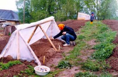 teplitsy pod plenku svoimi rukami