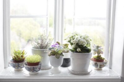 windowsill planter 05