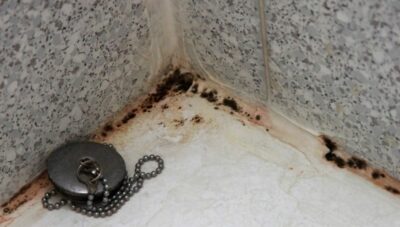 Суперсредство, которое избавляет ванную комнату от плесени и грибка. Проще простого!