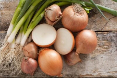 wsi imageoptim bigstock Assorted Farm Fresh Onions On 61456619 1 e1479907713718