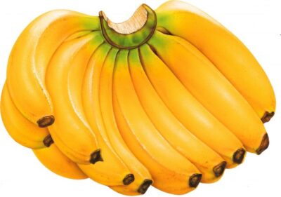 banana PNG817