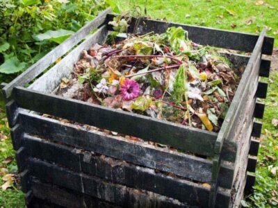 content compost heap econet ru