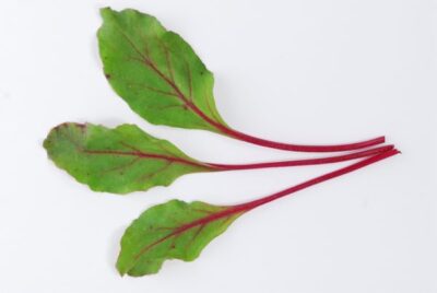 mangold useful beets with overseas name