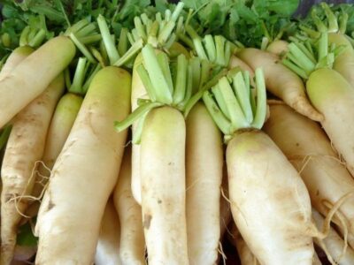 Daikon 2