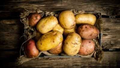 Гниёт картофель при хранении, почему это происходит и как этого избежать?