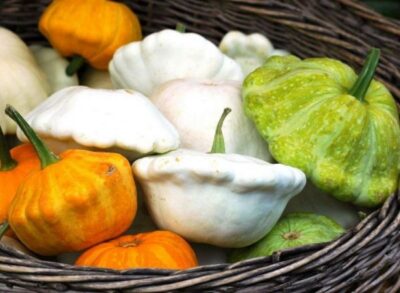 Pattypan squash 9