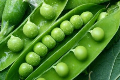 peas3