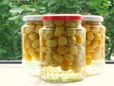 Соленый маринованный крыжовник — пряная закуска из крыжовника