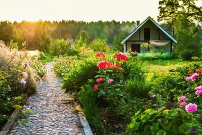 kakie cvety sazhayut osenyu na dache dlya cveteniya vesnoj i letom1