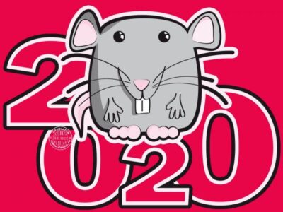 Чем порадует символ 2020 года — белая металлическая крыса? Что советует восточный календарь в новом году?