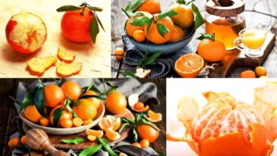 Почему не стоит выбрасывать мандариновую кожуру? Лайфхак по мандариновым коркам