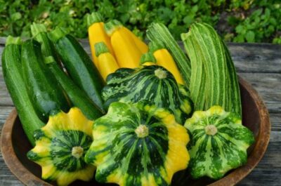 Summer Squash Mix