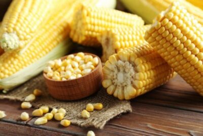 Спелая кукуруза