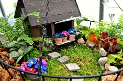 Ландшафтный дизайн миниатюрные сады