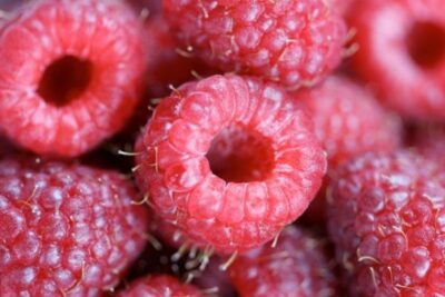raspberries 3 640x427 1