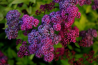 unnamed 3
