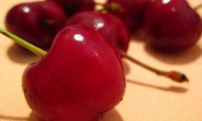 cherries on cloth