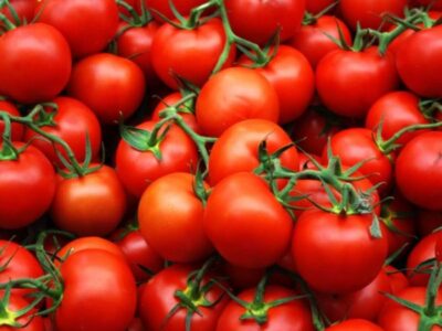 выбор вида помидоров влияет способ их выращивания