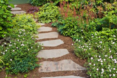 image 62926 wh88c8h92tgarden path