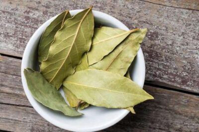 non feat bay leaves explainer
