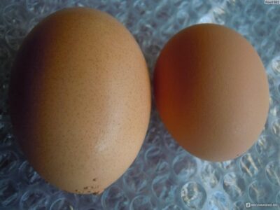 Яйцо куриное - «🐣Самое натуральное косметическое средство для ...