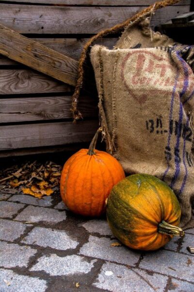 Украшаем дом к Хэллоуину и не только #осеннийдекор #осенниеукрашения #тыква  #декор #halloween #pumpkin #осенние… | Осенние тыквы, Осенние украшения