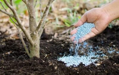 fertilizer plant soil min