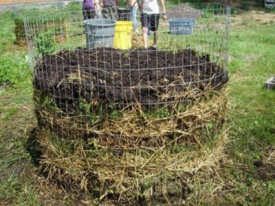 Как сделать компост из куриного помета: приготовление удобрения